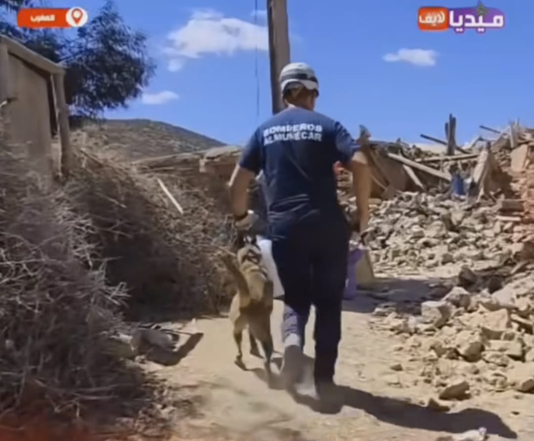 Los bomberos de Almuñécar con sus perros trabajan en el rescate de supervivientes del terremoto de Marruecos